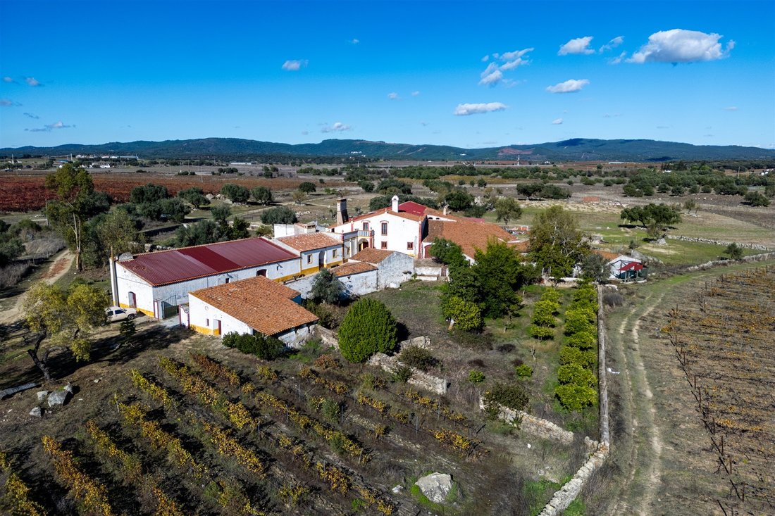 Farm Ranch in Rio de Moinhos, Évora District, Portugal 1 - 16765017