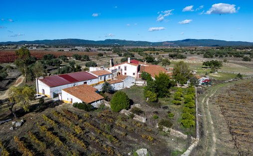 Azienda agricola a Rio de Moinhos, Distretto di Évora, Portogallo 1
