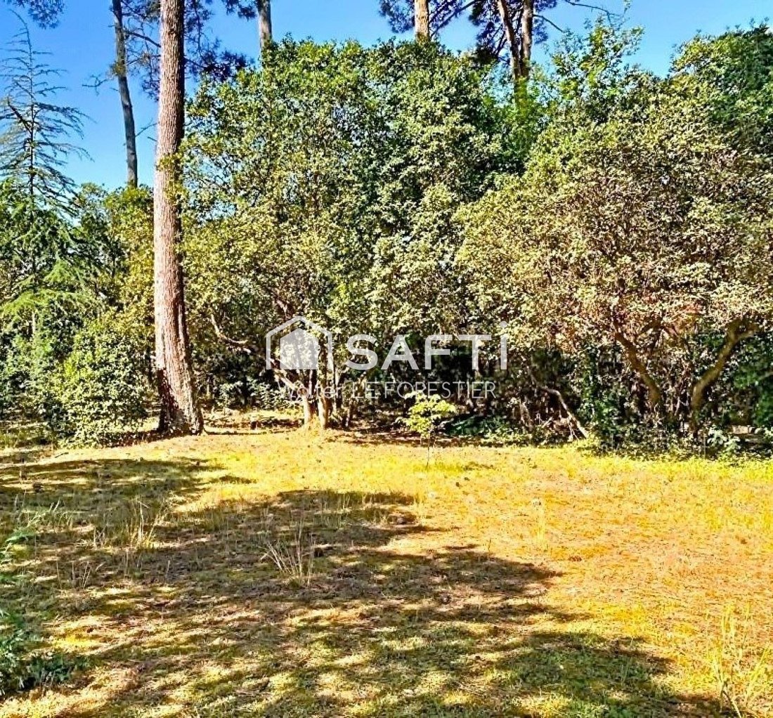 Terreno en Centro Cap Ferret, Lège-Cap-Ferret, Francia 5 - 16764488