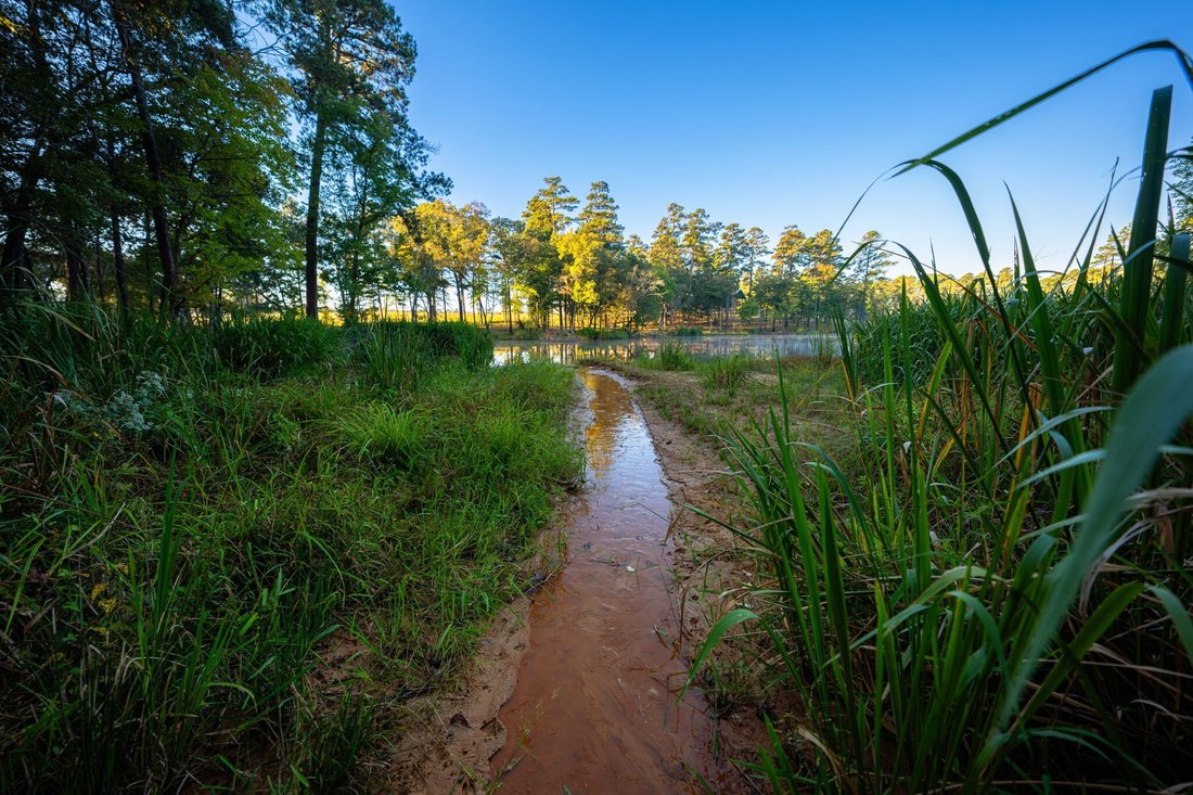 Land in Kilgore, Texas, United States 5 - 16754073