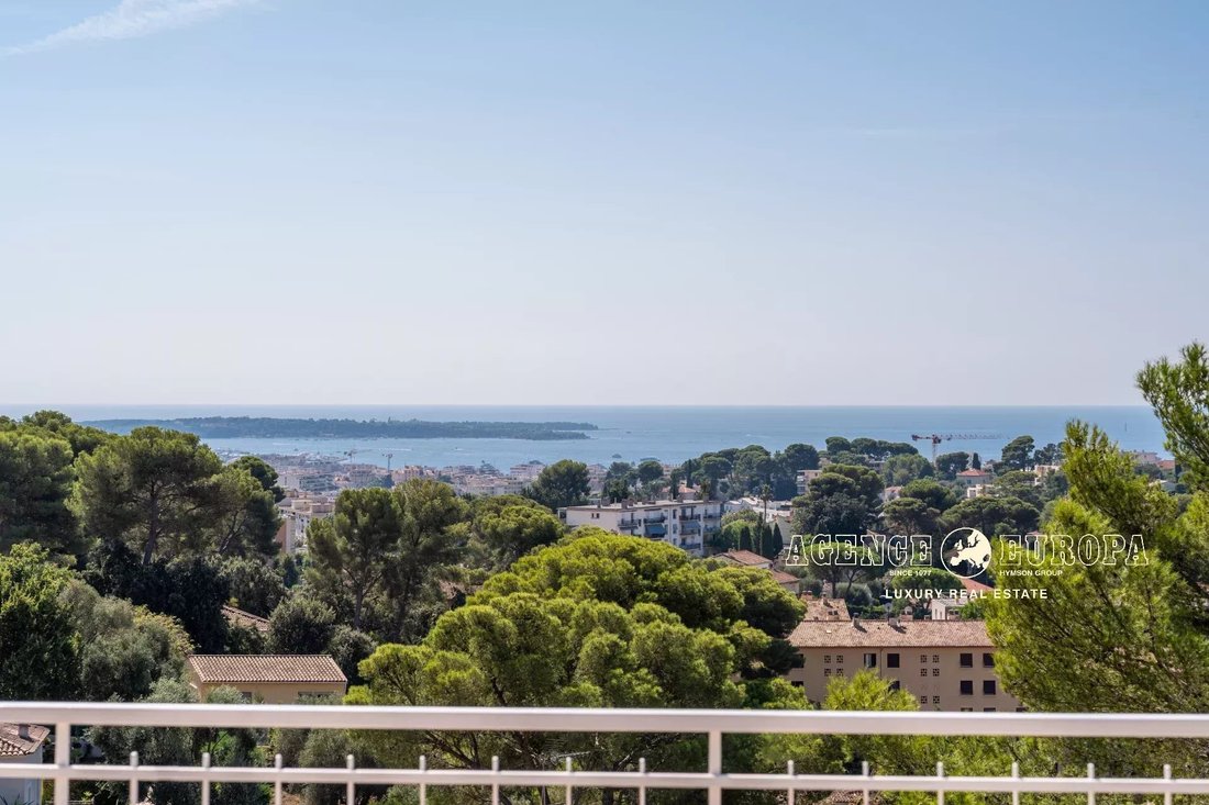 Apartment in Moulieres, Le Cannet, France 4 - 16752940