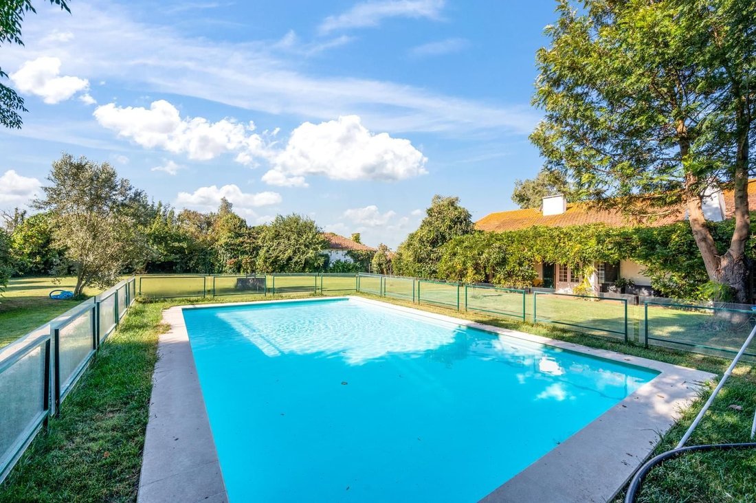 Country House in Gloria do Ribatejo e Granho, Santarem District, Portugal 4 - 16761449