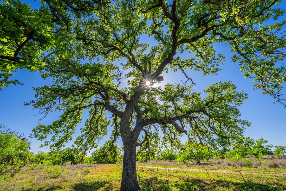 Land in Valley Spring, Texas, United States 5 - 16755316