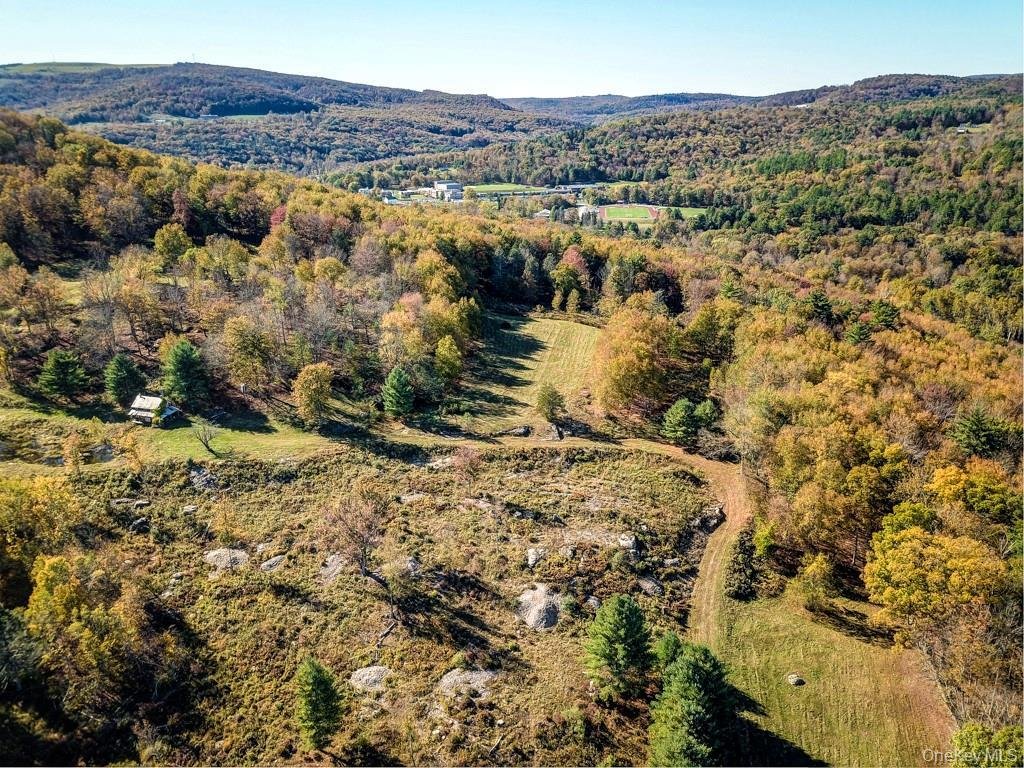 Land in Neversink, New York, United States 1 - 16754521