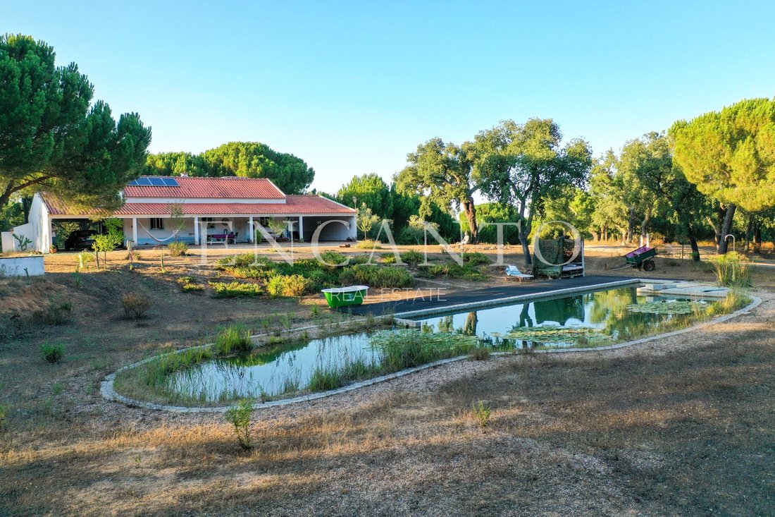 Finca in Corticadas de Lavre e Lavre, Évora District, Portugal 5 - 16762074