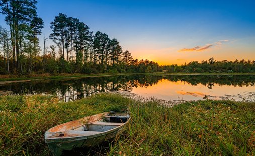 Land in Chandler, Texas, United States 1