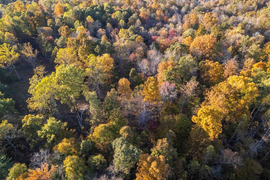 Land in Fordsville, Kentucky, United States 5 - 16755458
