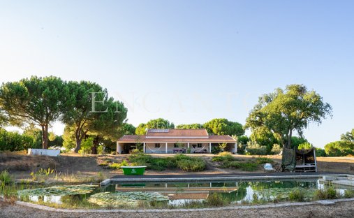 Finca in Corticadas de Lavre e Lavre, Évora District, Portugal 1