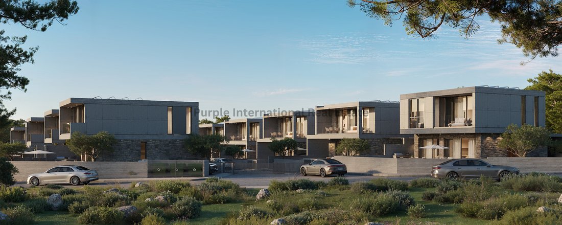 Villa in Yeroskipou, Paphos, Cyprus 2 - 16712572