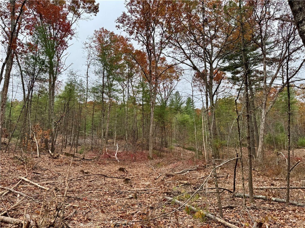 Land in Burrillville, Rhode Island, United States 4 - 16754614