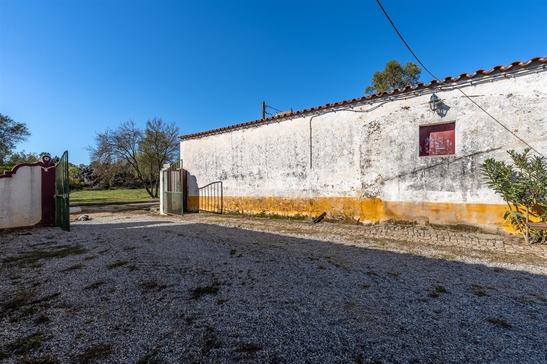 Farm Ranch in Rio de Moinhos, Évora District, Portugal 3 - 16765017