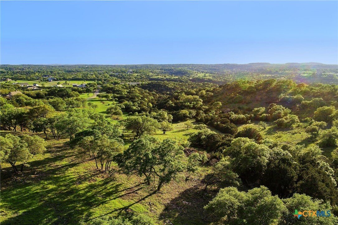 Farm Ranch in Spicewood, Texas, United States 1 - 16754328