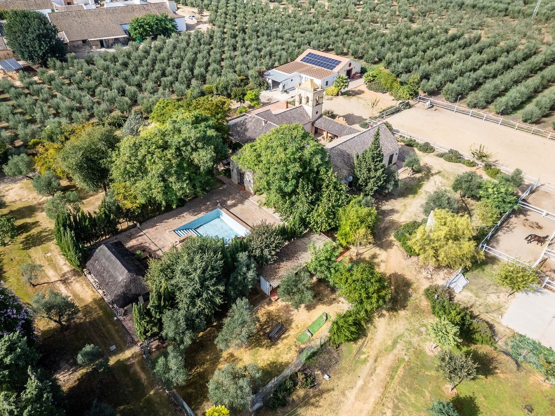 House in Bollullos de la Mitacion, Andalusia, Spain 5 - 16758035