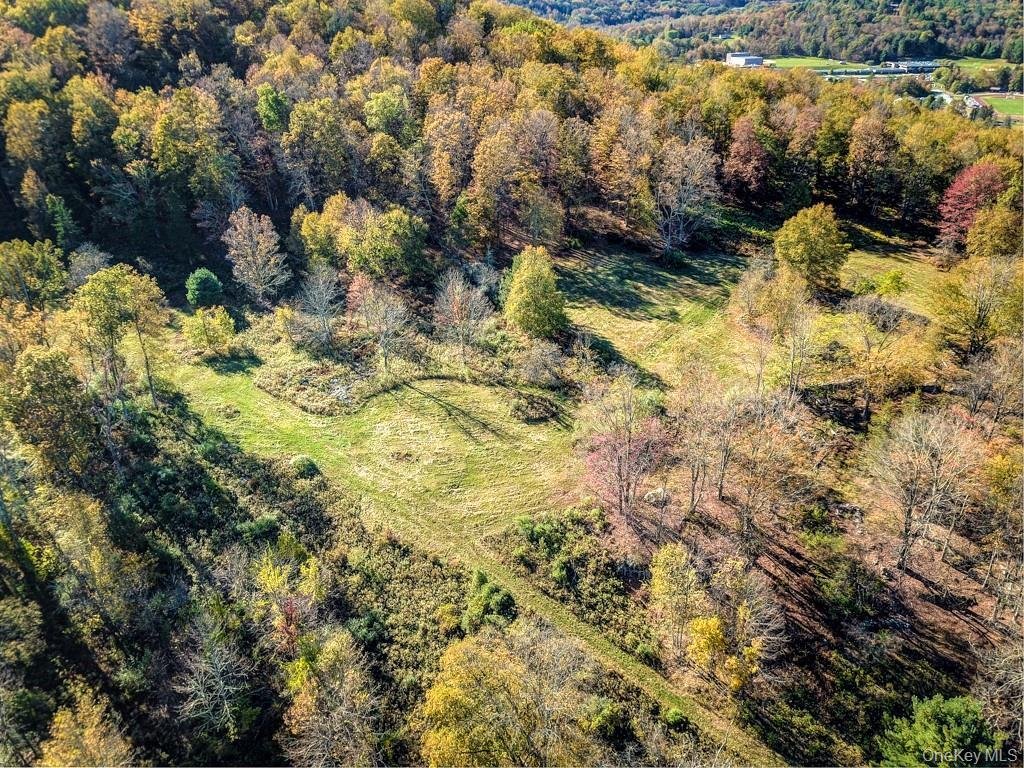 Land in Neversink, New York, United States 4 - 16754521