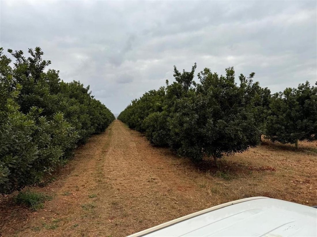 Farm Ranch in Mbombela, Mpumalanga, South Africa 3 - 16167320