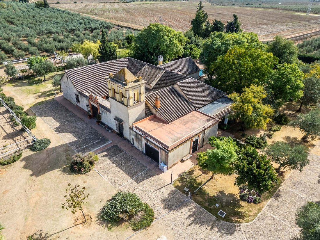 House in Bollullos de la Mitacion, Andalusia, Spain 1 - 16758035