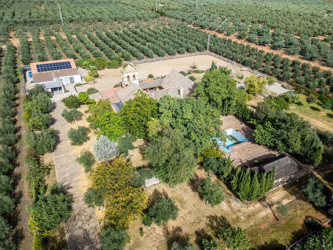 House in Bollullos de la Mitacion, Andalusia, Spain 4 - 16758035
