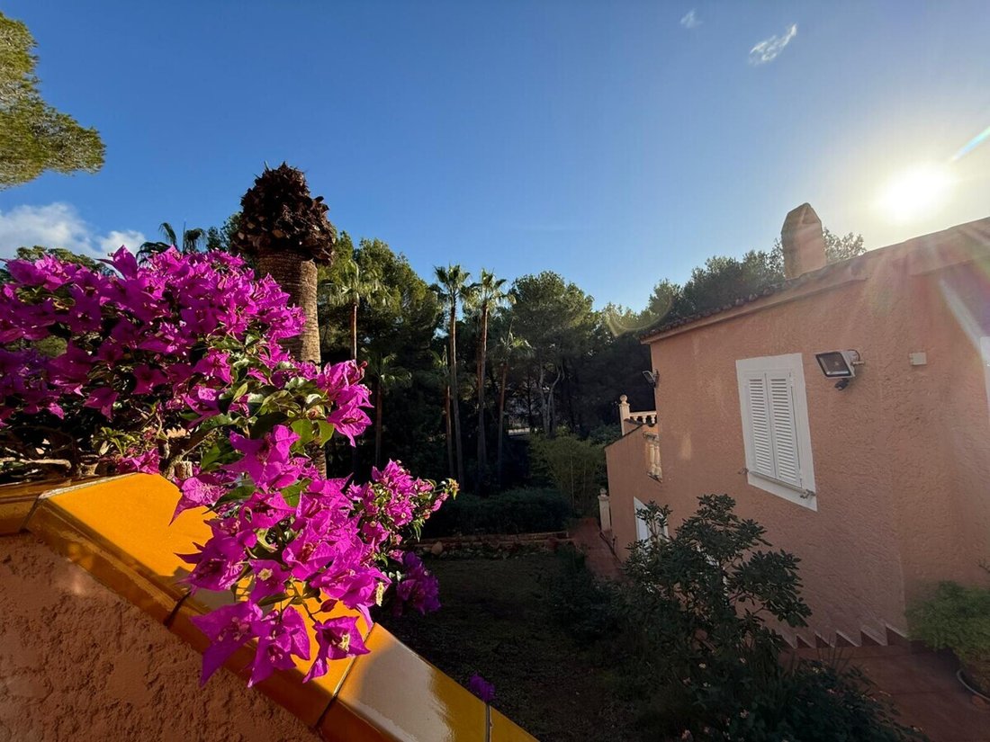Villa in Rotes Velles, Calvia, Balearic Islands 1 - 16753394