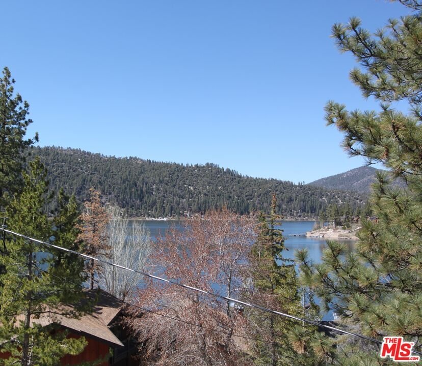 House in Big Bear Lake, California, United States 4 - 16754744