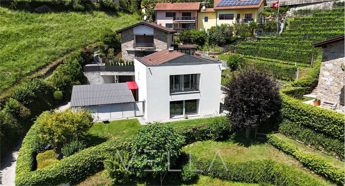 Modern Villa With Portico