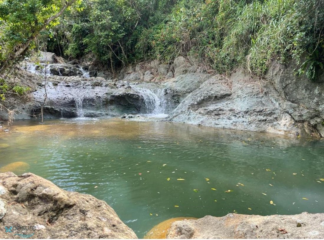 Land in Cayey, Cayey, Puerto Rico 2 - 16761823