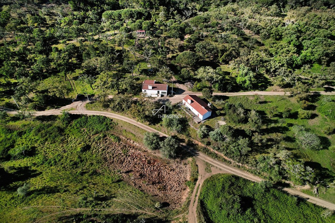 Land in Melides, Setubal, Portugal 3 - 16757090