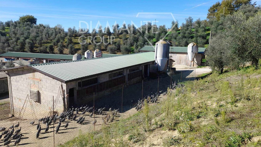 Farm Ranch in Center, Arezzo, Tuscany 4 - 16758202