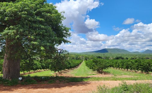 Terreno en Musina, Limpopo, Sudáfrica 1