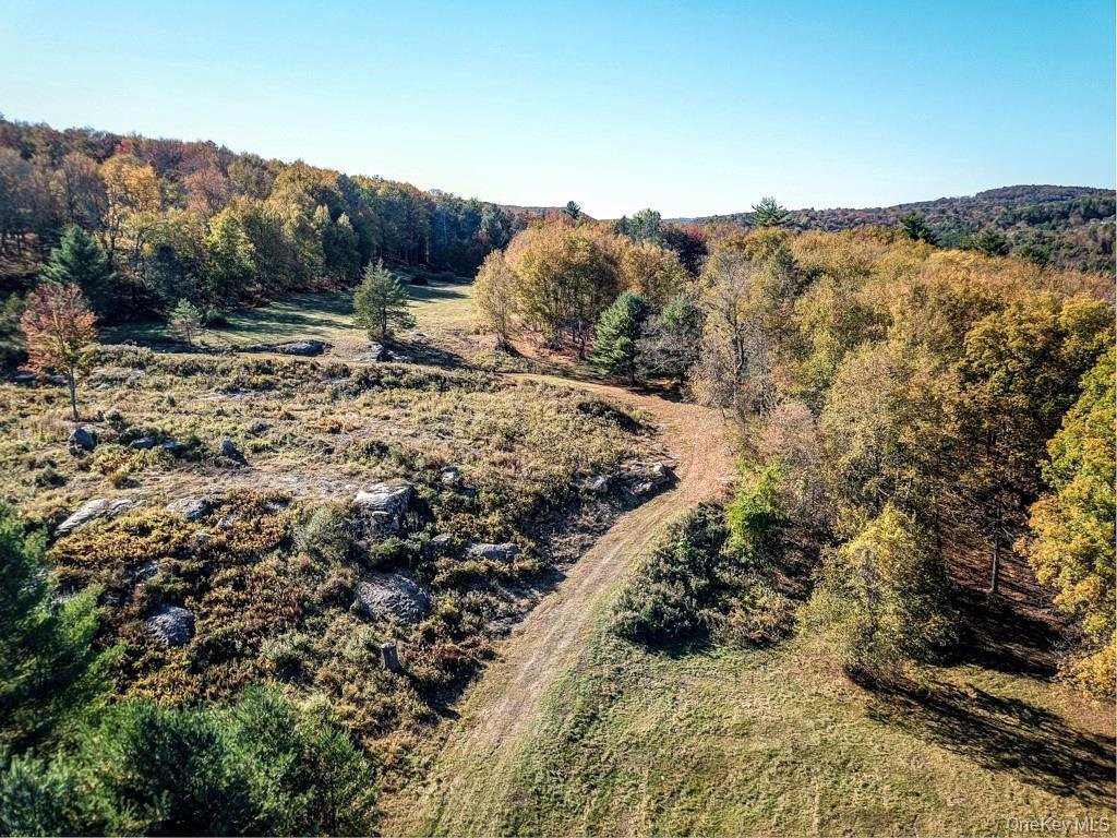 Land in Neversink, New York, United States 3 - 16754521