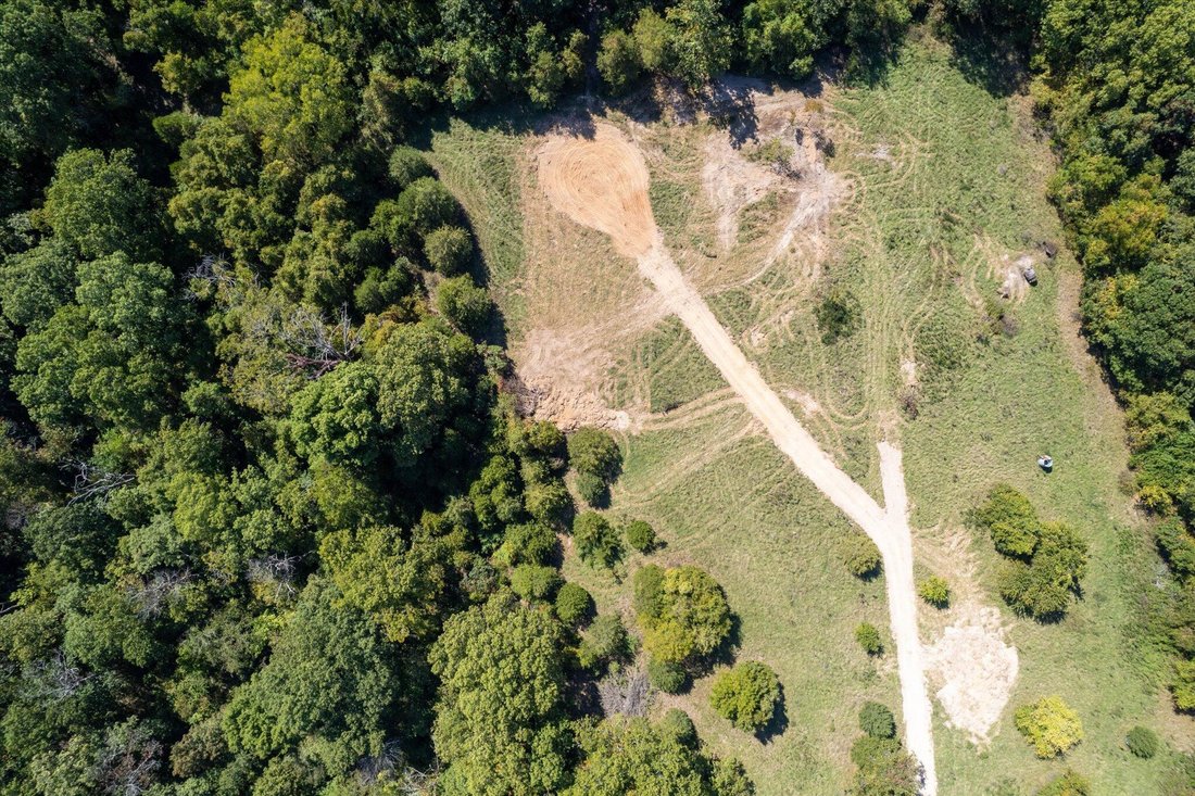 Land in Rogersville, Missouri, United States 5 - 16755331