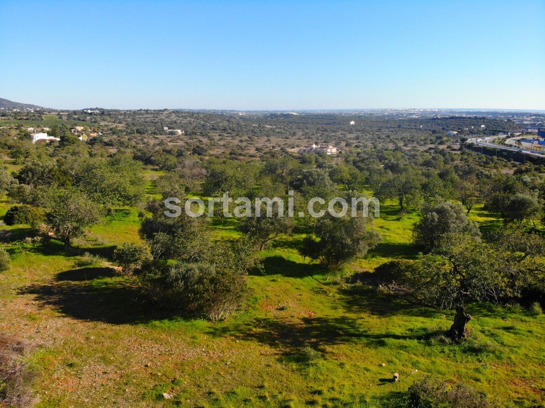 Land in Santa Barbara de Nexe, Algarve, Portugal 1 - 16757916