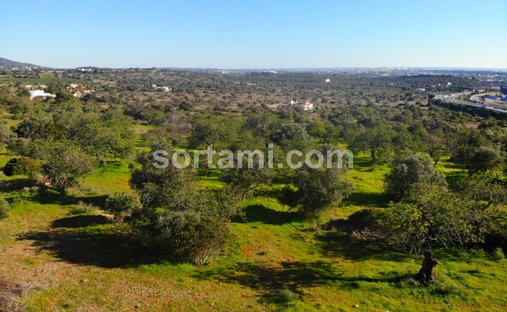 Terreno en Santa Bárbara de Nexe, Algarve, Portugal 1