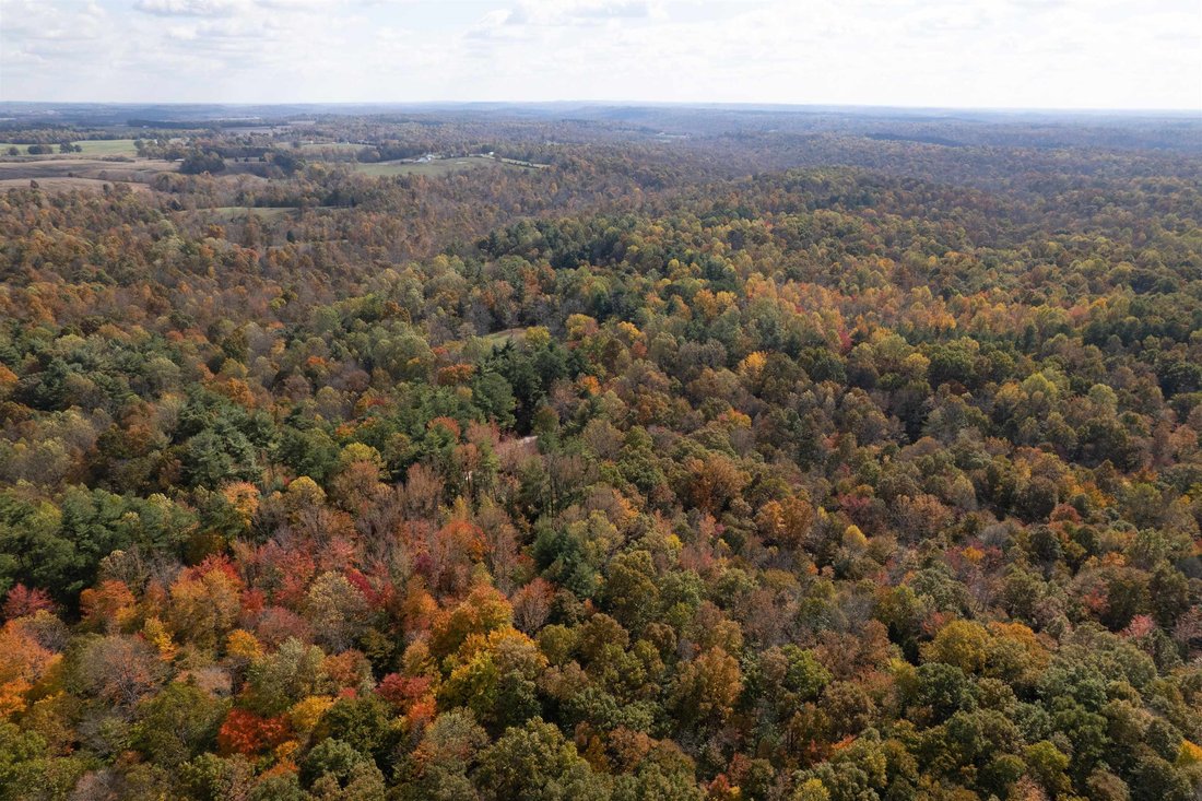 Land in Fordsville, Kentucky, United States 1 - 16755458