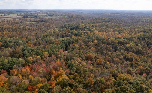 Land in Fordsville, Kentucky, United States 1