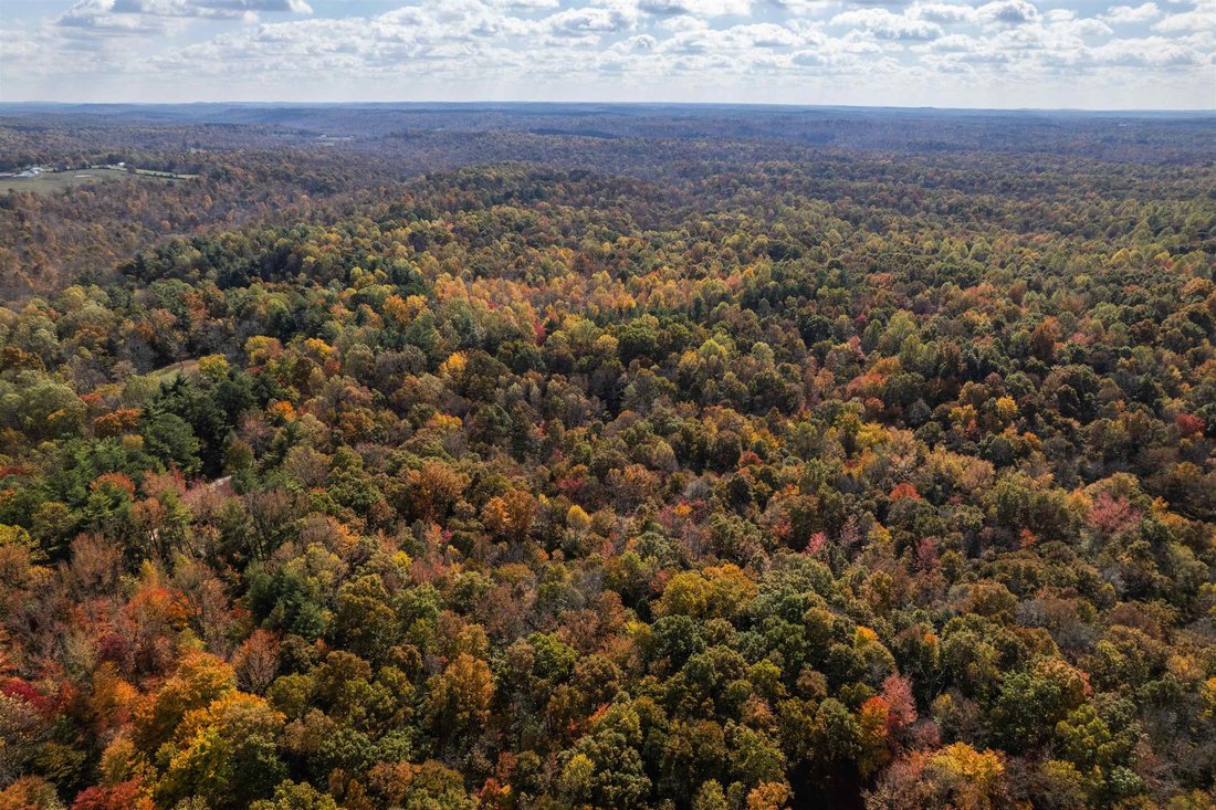 Land in Fordsville, Kentucky, United States 2 - 16755458