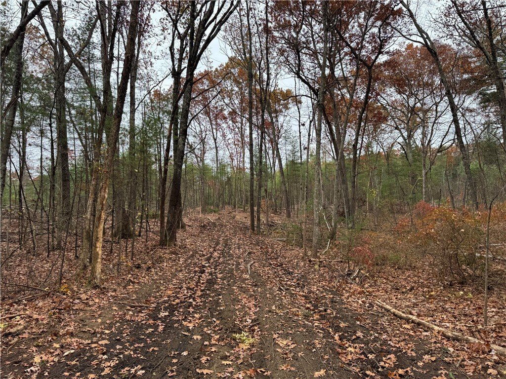Land in Burrillville, Rhode Island, United States 5 - 16754614