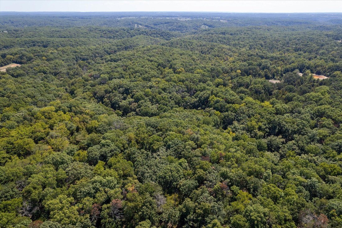 Land in Rogersville, Missouri, United States 3 - 16755331