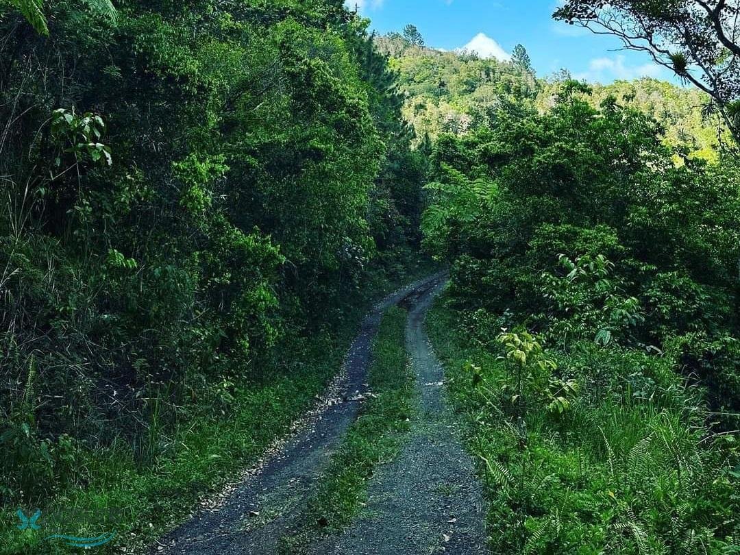 Land in Cayey, Cayey, Puerto Rico 5 - 16761823