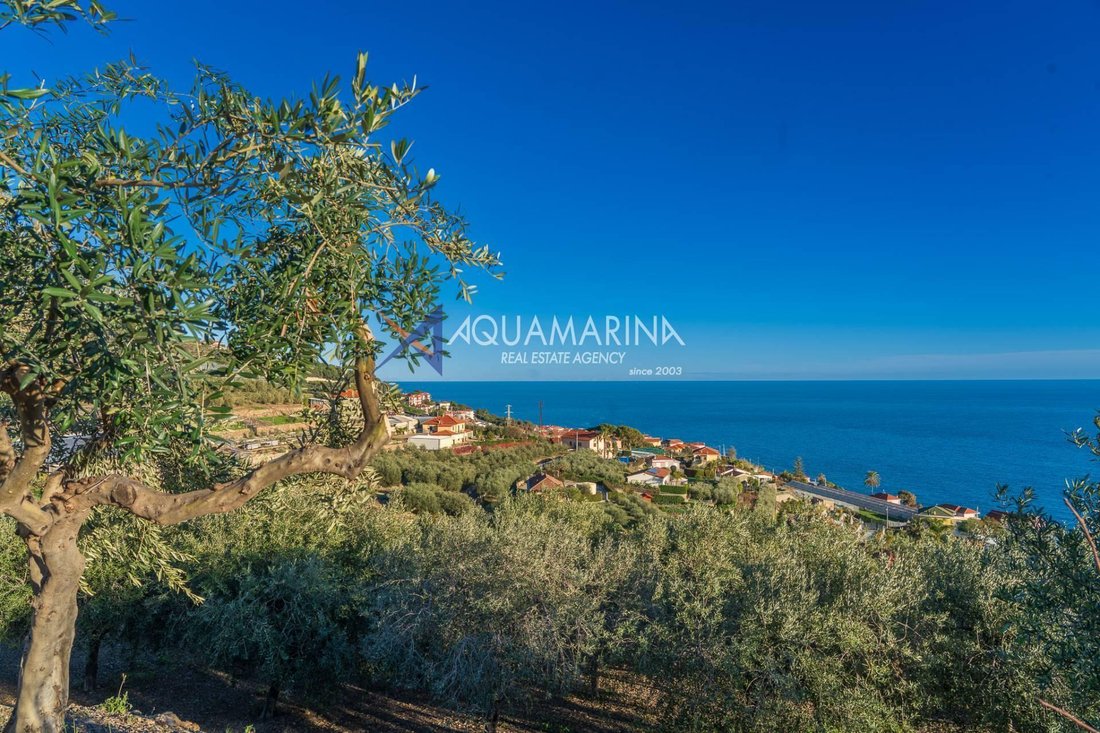 Villa in Cipressa, Liguria, Italy 1 - 16757534