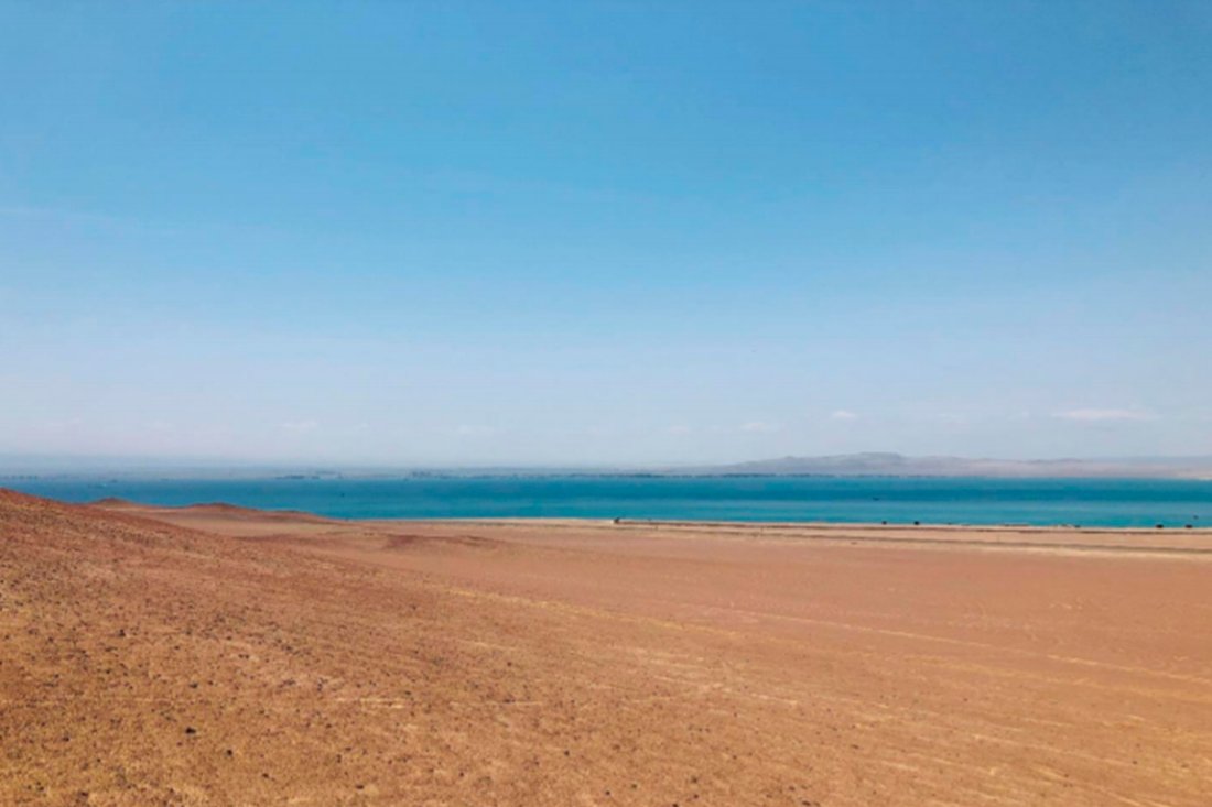 Land in Paracas, Ica, Peru 4 - 16761648