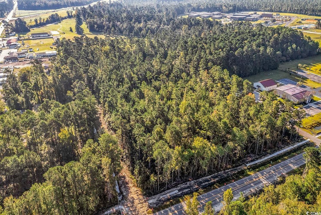 Land in Loris, South Carolina, United States 3 - 16755996