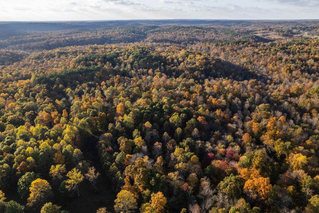 Land in Fordsville, Kentucky, United States 4 - 16755458