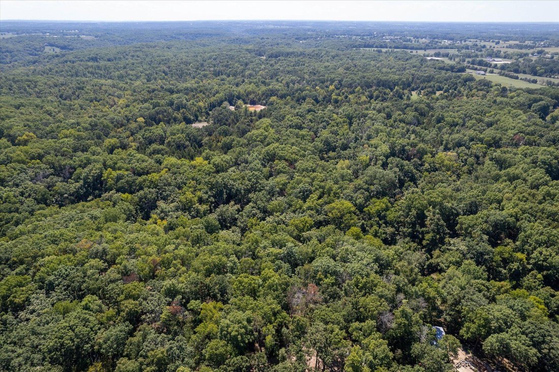 Land in Rogersville, Missouri, United States 2 - 16755331
