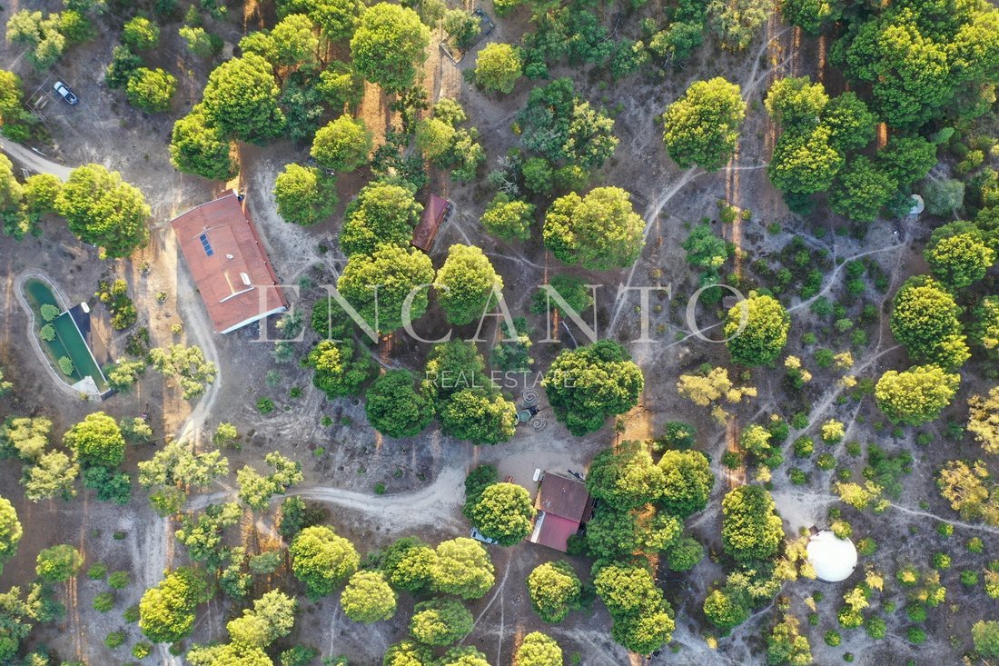 Finca in Corticadas de Lavre e Lavre, Évora District, Portugal 4 - 16762074