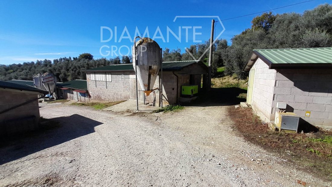 Farm Ranch in Center, Arezzo, Tuscany 5 - 16758202