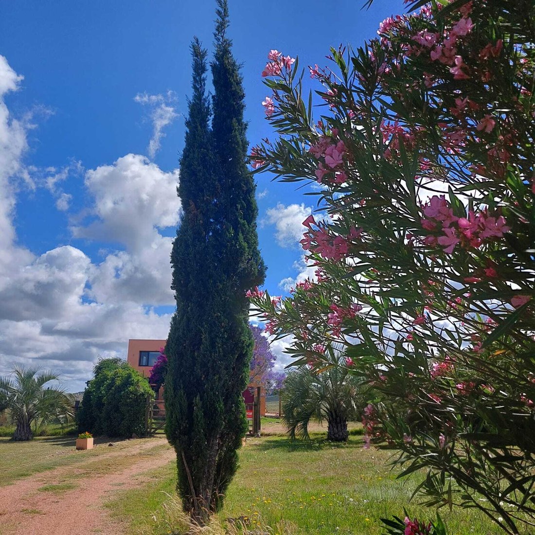 Villa in Ruta 12, Uruguay 5 - 16767459