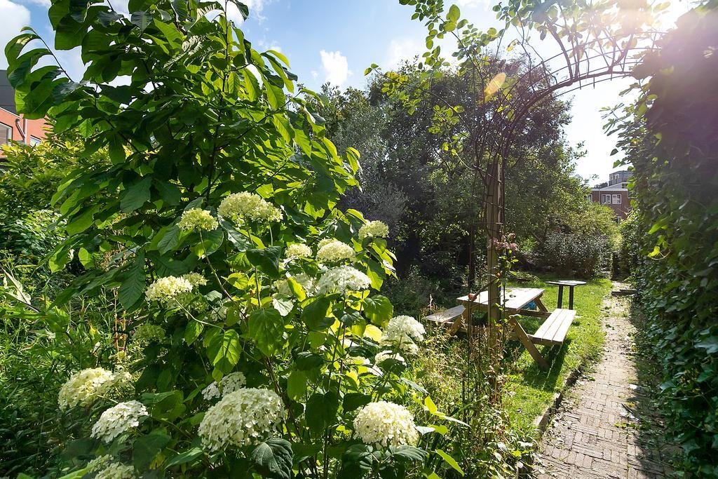 House in Feijenoord, South Holland, Netherlands 3 - 16766202