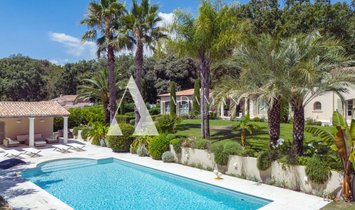 Villa in La Colle-sur-Loup, Provence-Alpes-Côte d'Azur, France 2