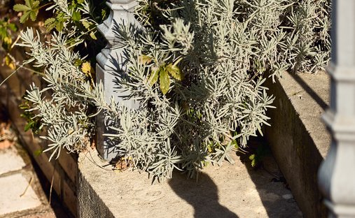 Castle for Sale in Vesoul, Bourgogne-Franche-Comté, France