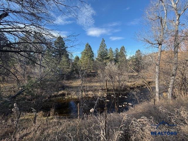 Land in Whitewood, South Dakota, United States 3 - 16766834